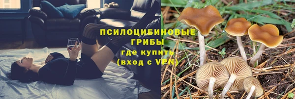 прущая мука Корсаков