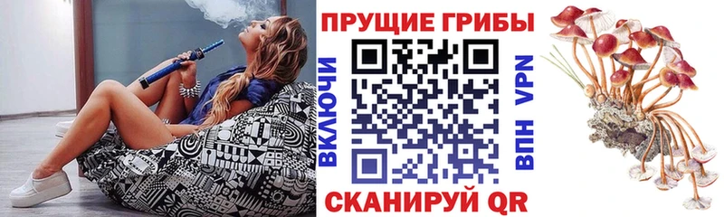 Галлюциногенные грибы GOLDEN TEACHER закладки Нижний Тагил