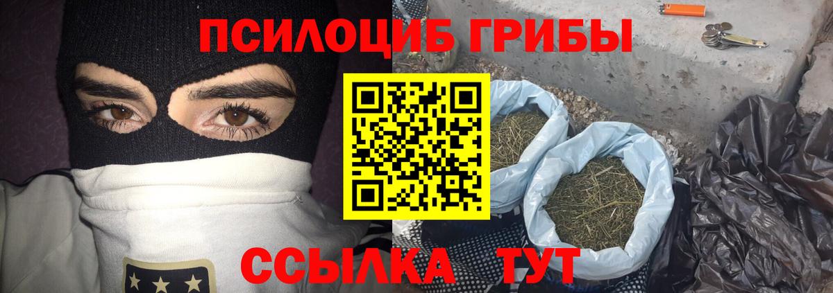 Псилоцибиновые грибы прущие грибы  Галлюциногенные грибы Psilocybine cubensis  Вход с VPN  Нижний Тагил 